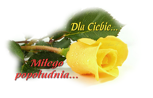 Dla ciebie miłego popołudnia żółta róża